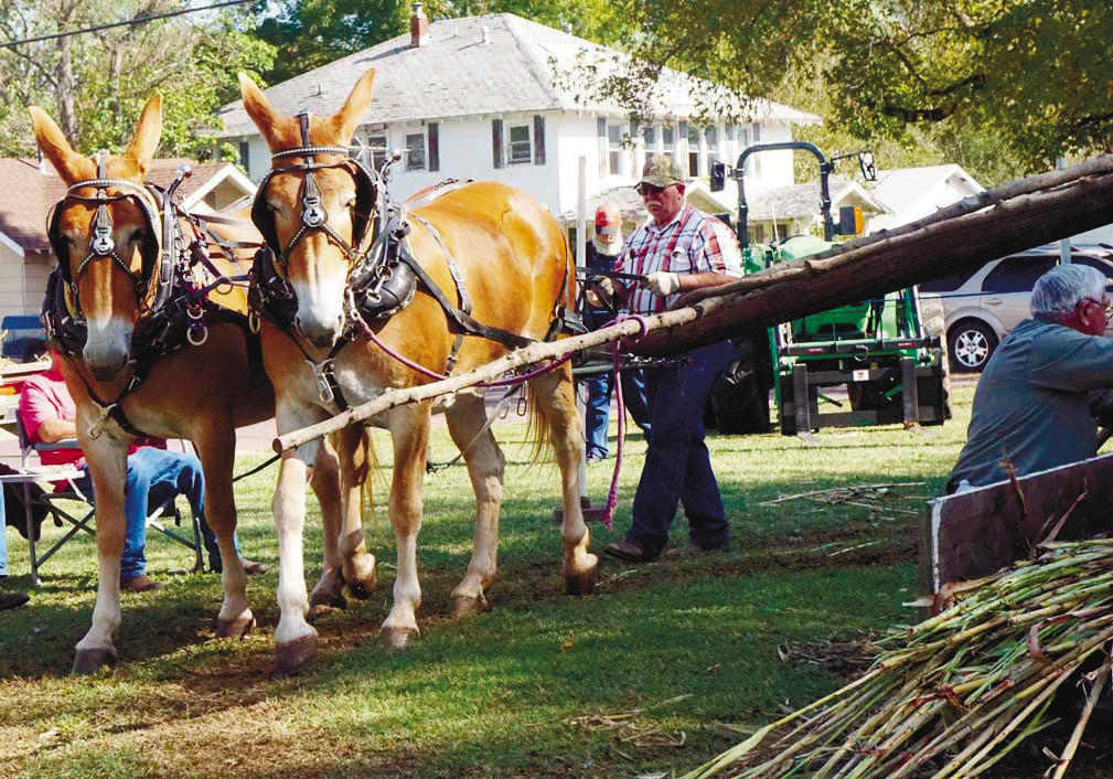 Seminole Nation Museum at Heart of Festival Seminole Producer