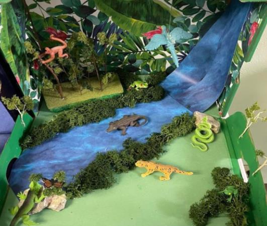 FIFTH GRADE CLASS CREATES ECOSYSTEM DIORAMAS | Seminole Producer